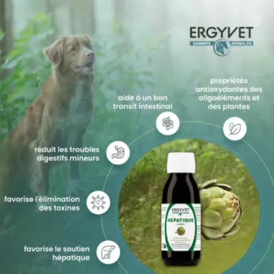 Ergyvet Hépatique